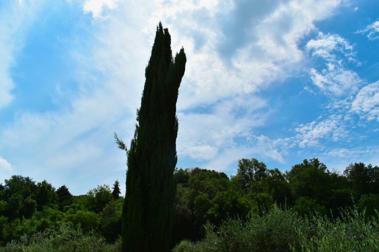 Mezzano In Chianti Strada in Chianti Exterior foto